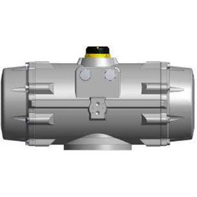 PT1000-S17-B