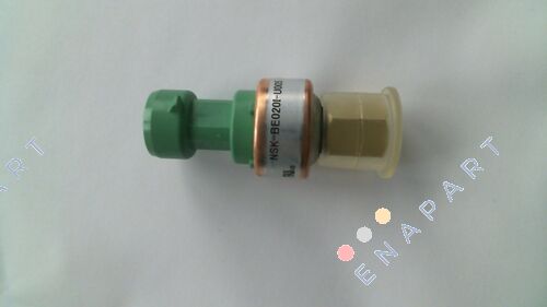 00PPG000030700A Transducer