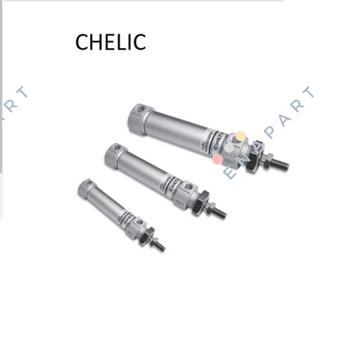 FDA20x100 Miniature cylinder