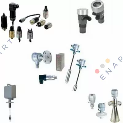 EFB-1220 By-Pass Level Transmitter