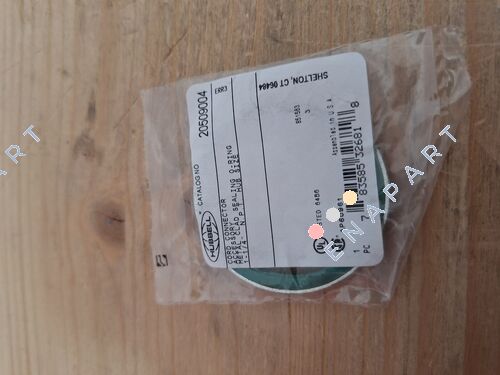 20509004 SEALING O RING