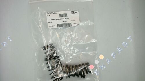10119 SPRING STEEL