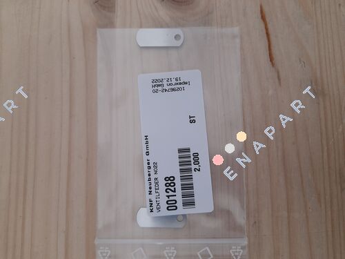 001288 VALVE SPRING NO22