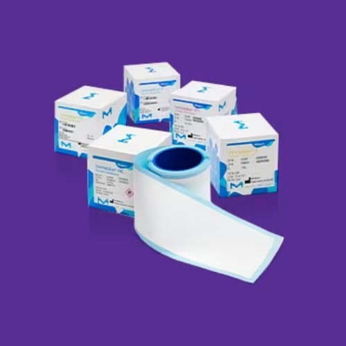 ISEQ00010