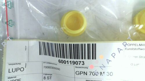 GPN 700 M 30 Screw Plug