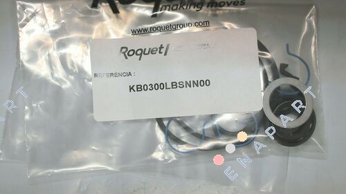 6396/296 / 11975 Gasket set complete for standard pumps BG2, Perbunan