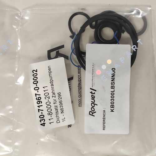 KB0300LBSNN00 Seal kit to pump