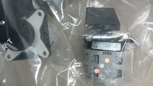 WAO821/12E/NS/Z1 / 10011825 Special cam switch