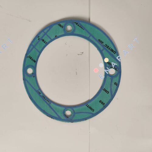 212351 flat seal